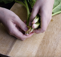 作り方 三色そぼろ弁当