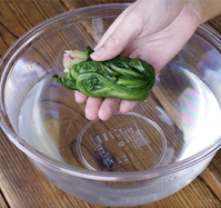 作り方 三色そぼろ弁当