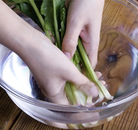 作り方 三色そぼろ弁当