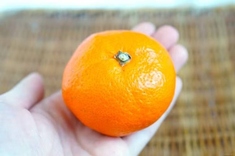 みかんを手にのせている様子