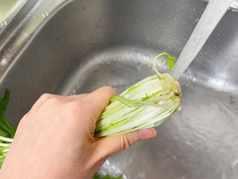 水菜の根元部分を洗おうとしている様子