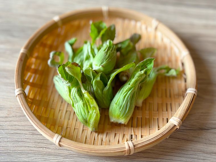 ザルに盛られたふきのとう