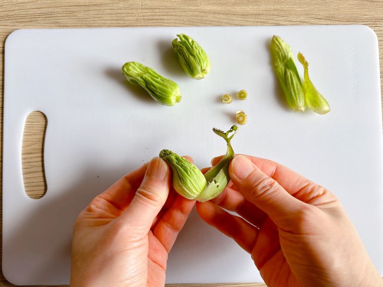 ふきのとうの外側の葉をむく様子