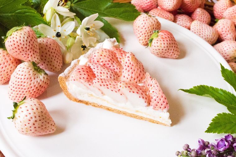 特選 白イチゴ 初恋の香りのタルト