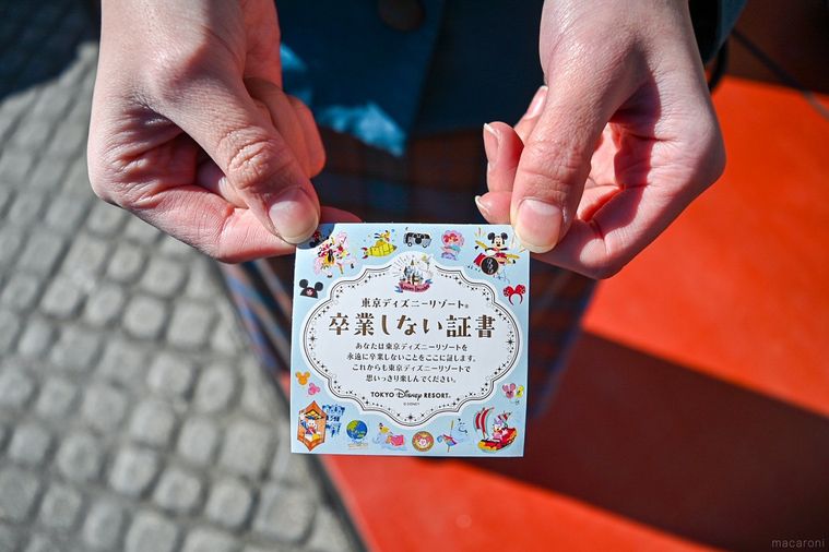 春ディズニーのシールのアップ