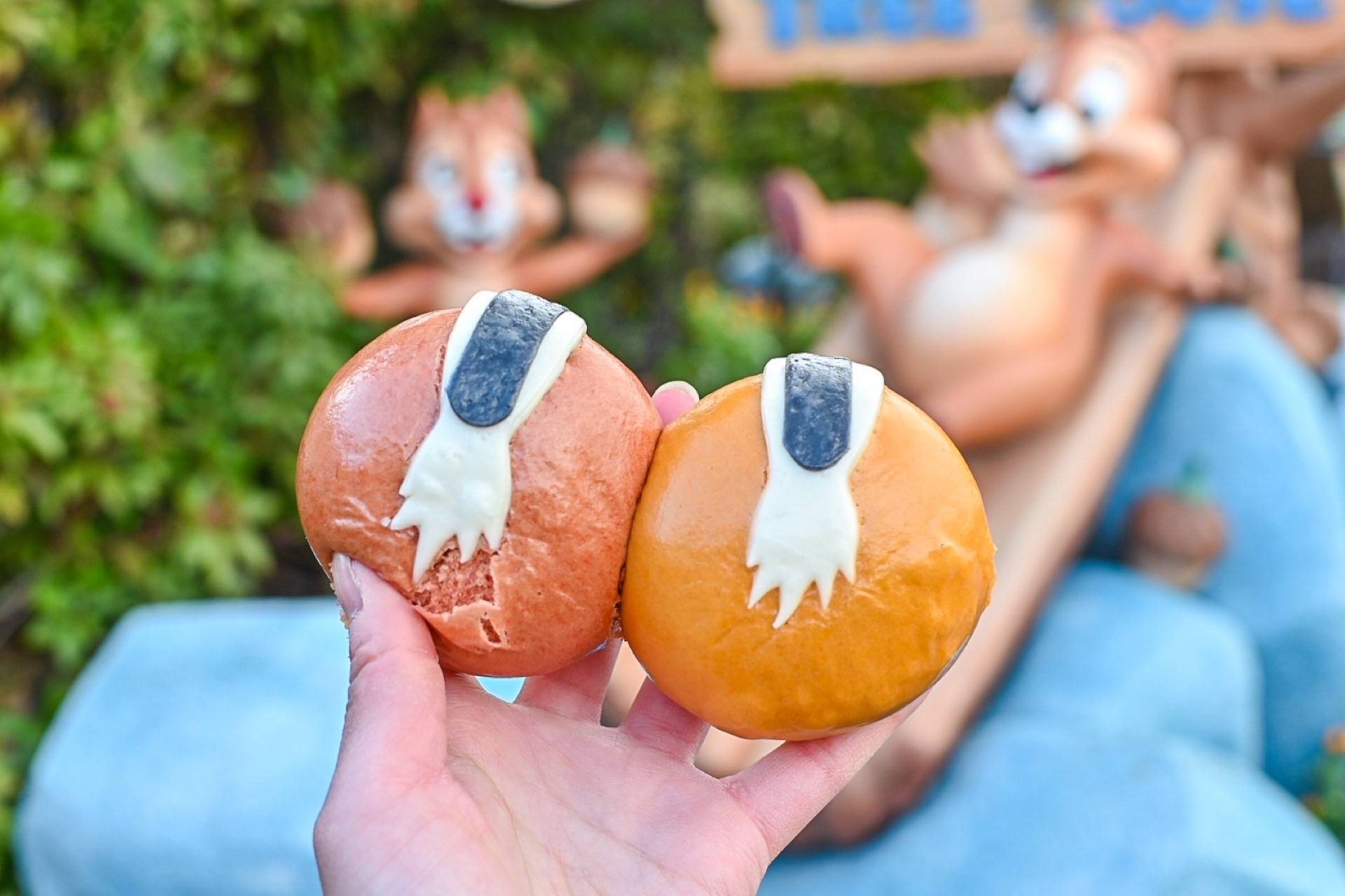 貴重！TDL★ディズニー チップとデール ストール？？ 未使用 チップ＆デール ストール 4500円 ディズニーリゾート限定 ブランケット