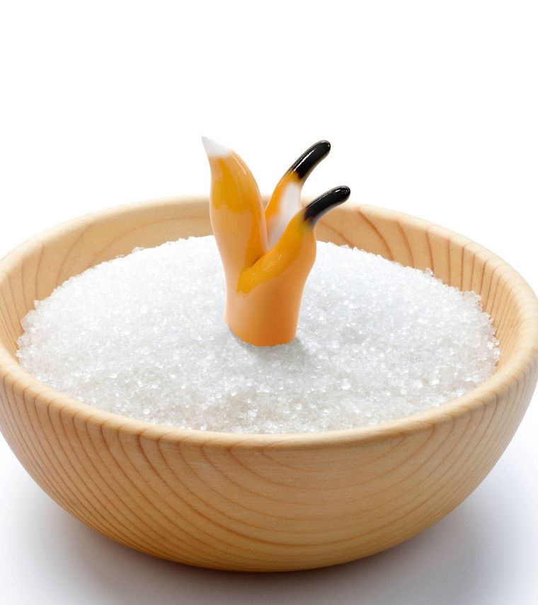 きつねスプーンが砂糖に刺さっている様子