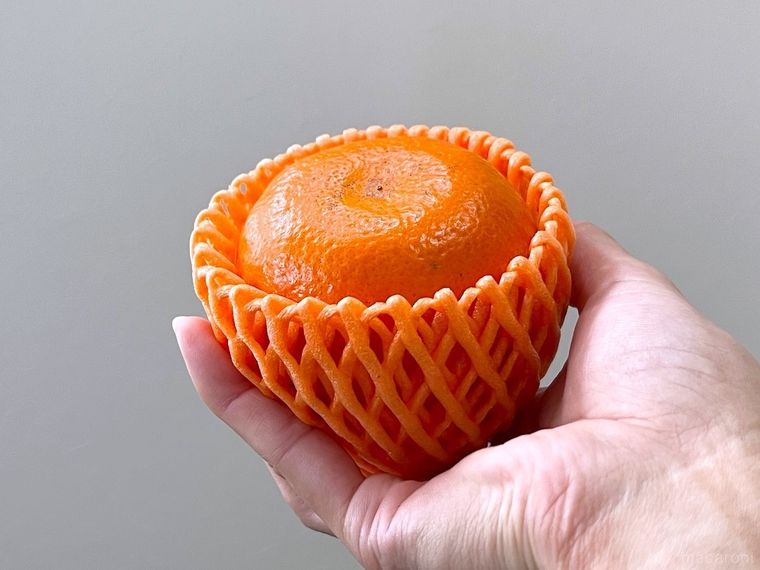 フルーツネットがかぶせられたみかん