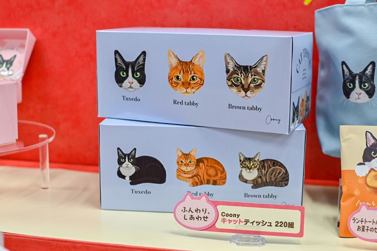 ティッシュケースのアップ