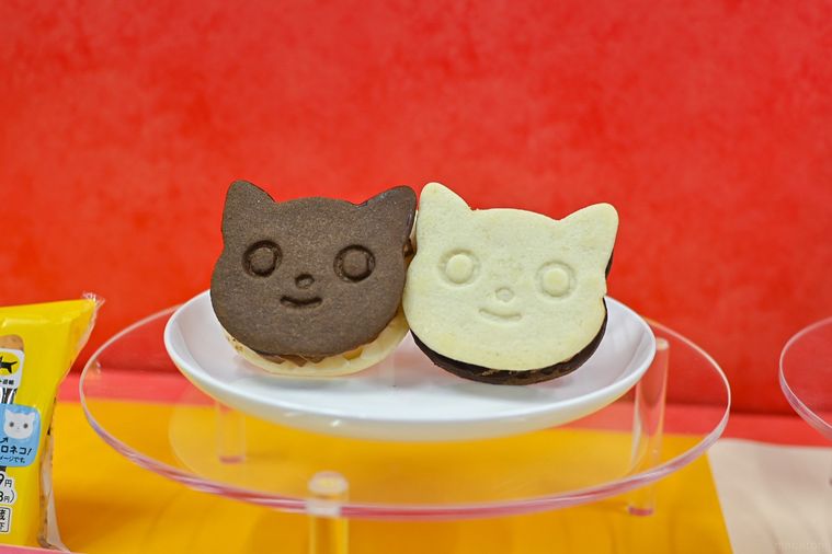 ビスケットサンドのアップ