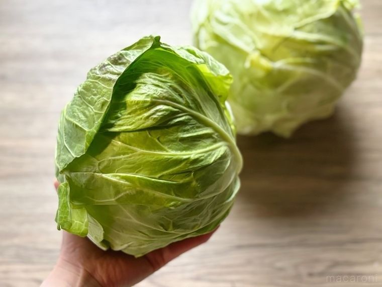 手に持った春キャベツ