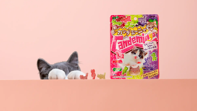 カンデミーニャグミのイメージ