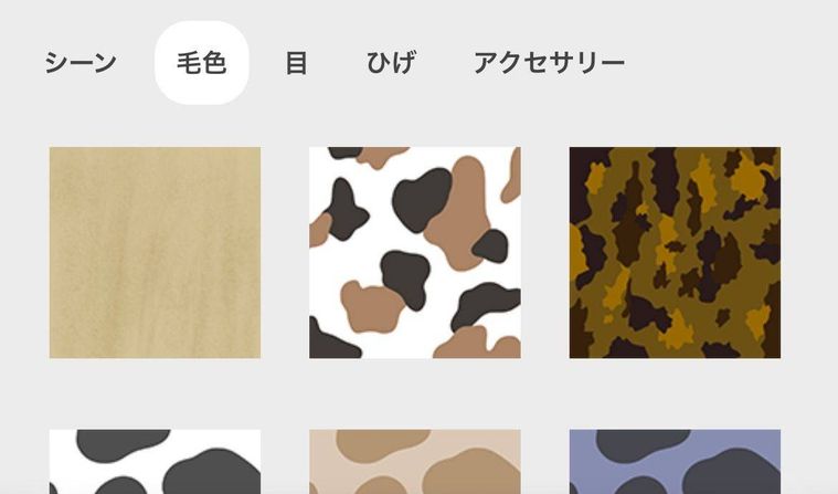 自分でつくる機能の毛色イメージ