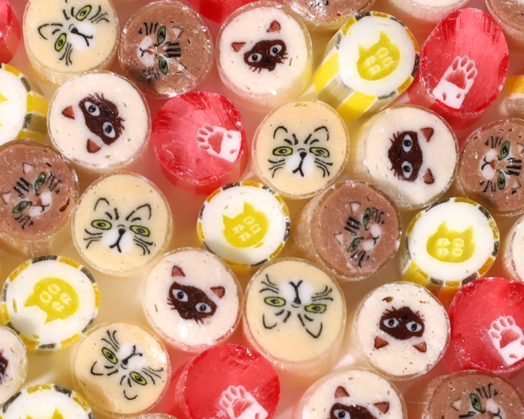 ねこねこ小分けセットのイメージ