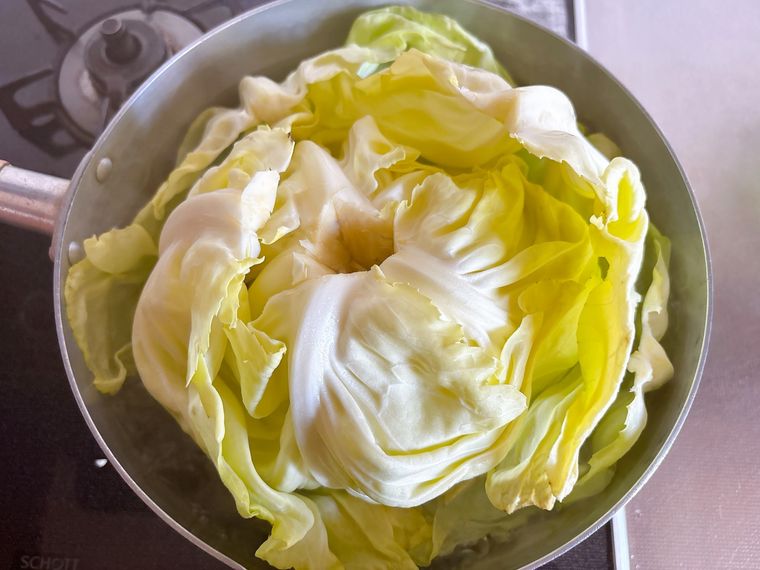 キャベツの葉がゆるんでくる様子