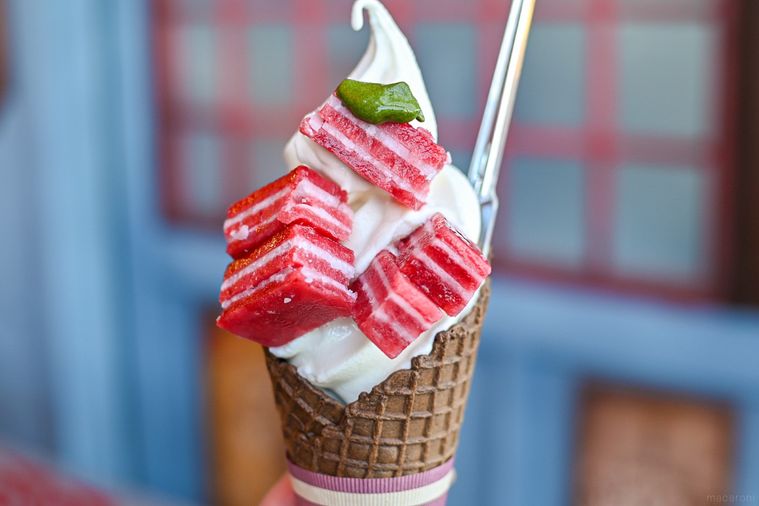 マグロソフトのアップ