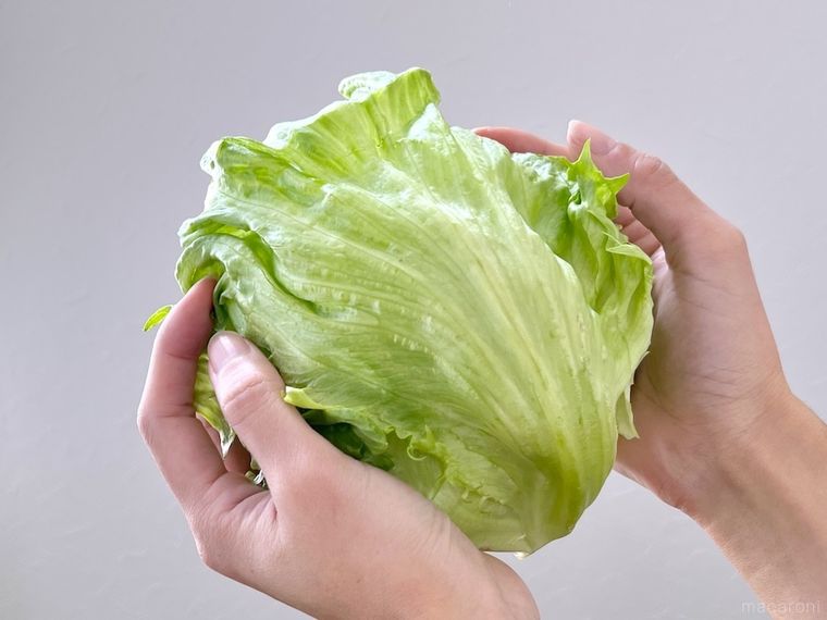 レタスを両手で持っている様子