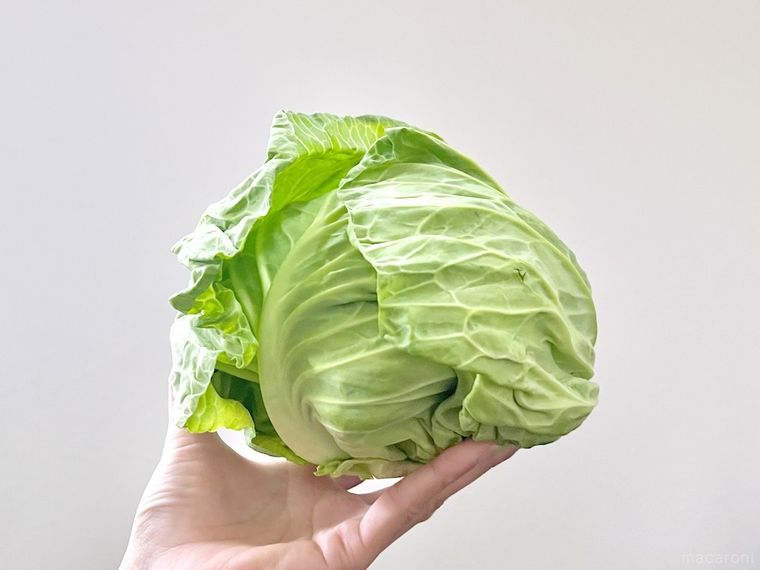 春キャベツを片手で持っている様子