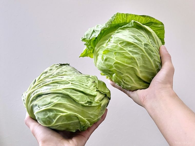 春キャベツを両手に1玉ずつ持っている様子