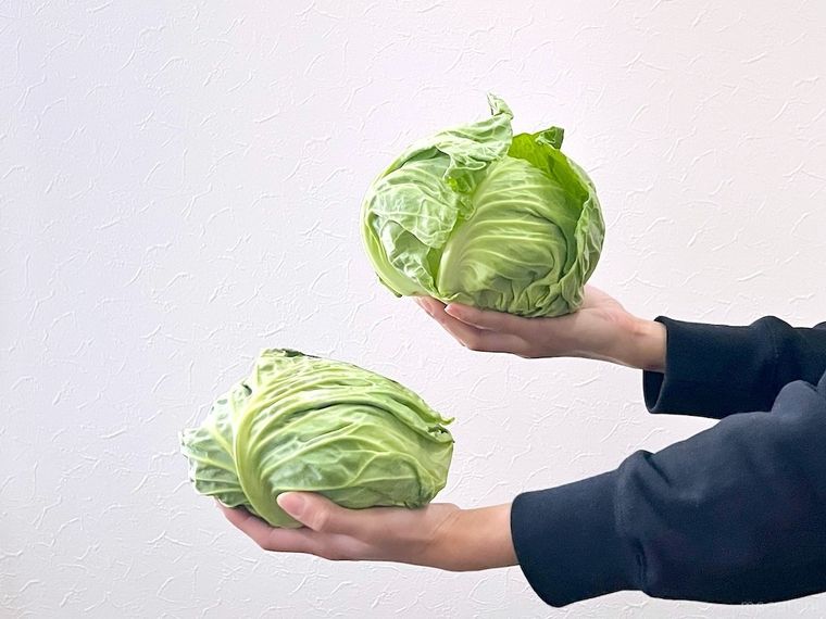 春キャベツを両手に1玉ずつ持っている様子