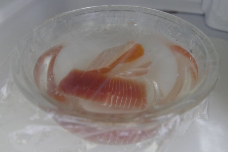 ブライン液に刺身を浸して冷蔵庫で冷やす様子