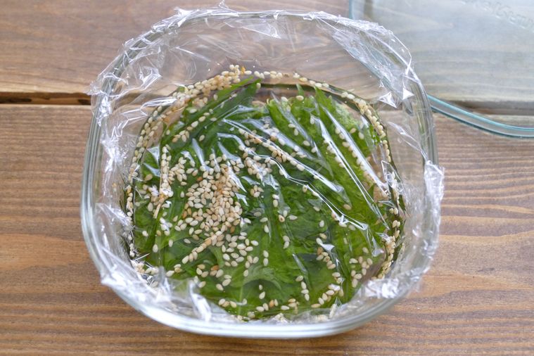 大葉の白だし漬け表面にラップを落とした様子