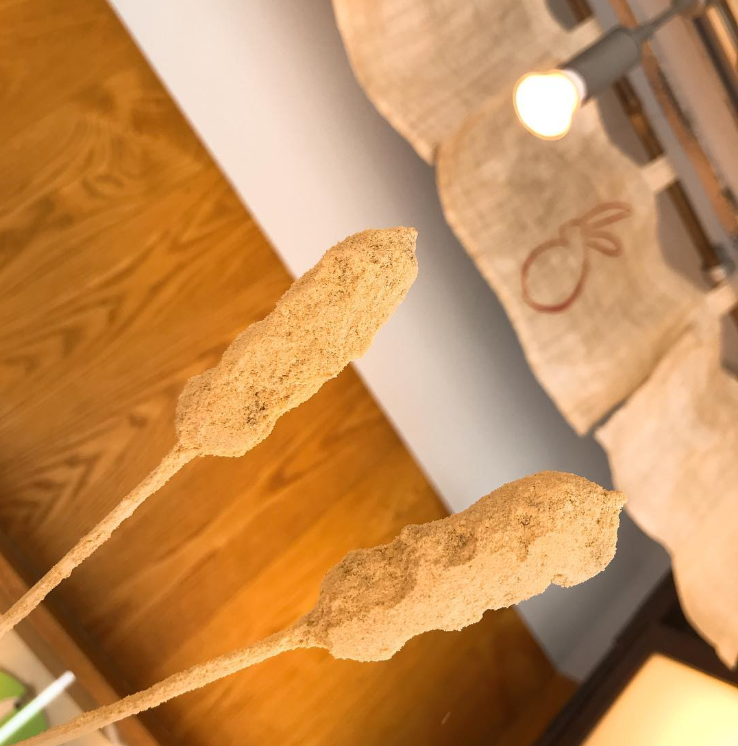 浅草きびだんご あづまのカウンター席で2本のきびだんごを手で持っている