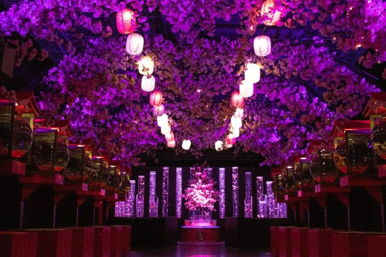 めっちゃ桜2025の提灯リウムー桜満開ーイメージ
