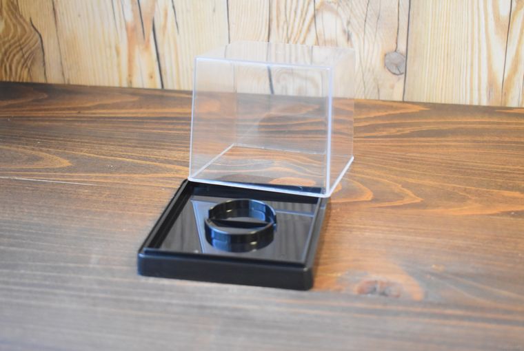 ダイソーのコレクションケースのフタを開けたところ