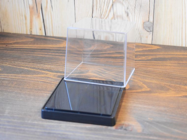 ダイソーのコレクションケースミニのフタを開けたところ