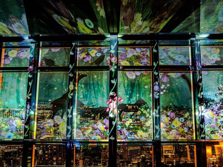 プロジェクションマッピングのイメージ