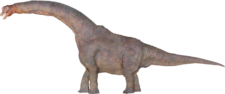 ブラキオサウルスのイメージ