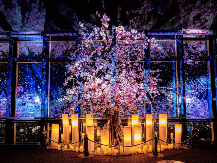 TOKYO TOWER CITY LIGHT FANTASIA Spring Concerto 2025 のイメージ