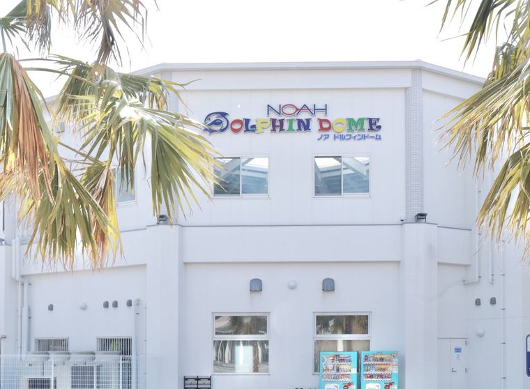 ノアドルフィンドームの外観