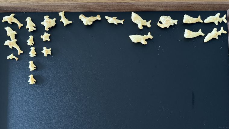 レアな形のおっとっとうみのなかまたち 限定版