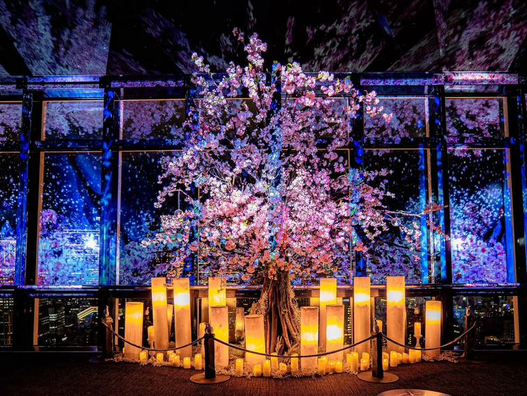 TOKYO TOWER CITY LIGHT FANTASIA - Spring Concerto 2025-イメージ