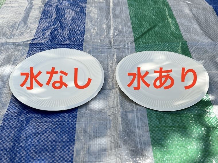レジャーシートの上に紙皿を2枚並べた様子
