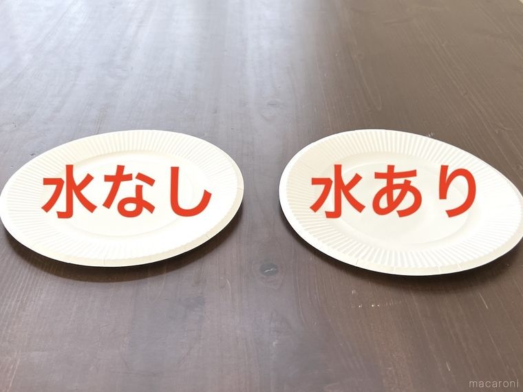 テーブルの上に紙皿を2枚並べた様子