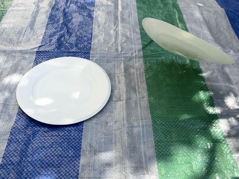 紙皿が風で飛ばされている様子