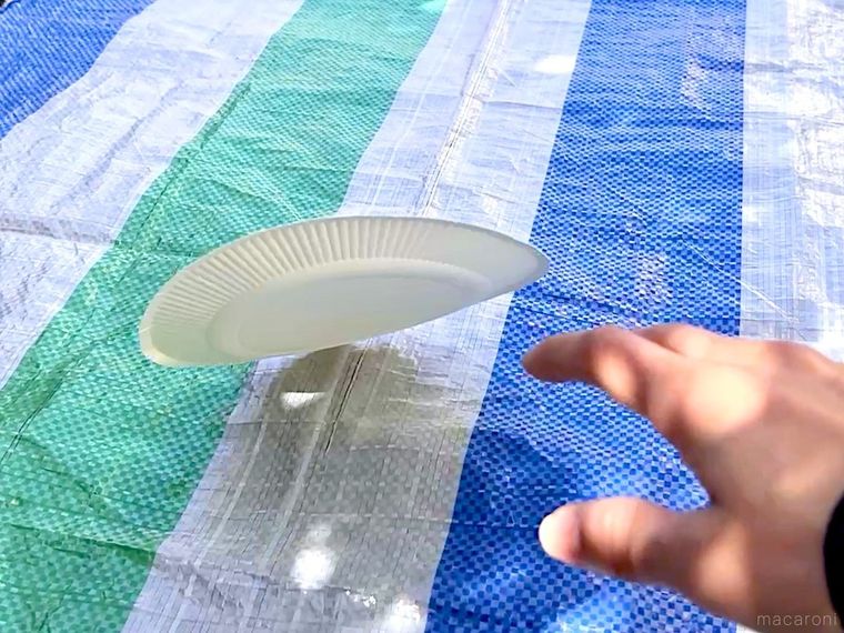 紙皿が風で飛ばされている様子