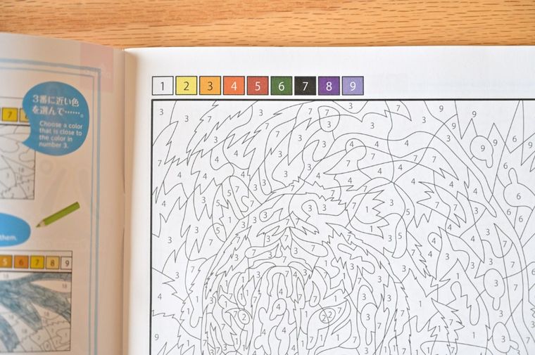 カラフルな番号が並んでいる塗り絵ページ