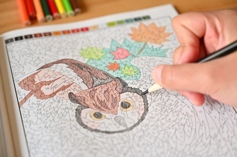 途中まで塗れたふくろうの絵と並んだ色鉛筆