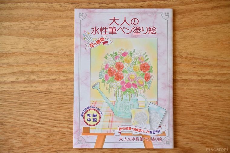 ダイソー大人の水性筆ペン塗り絵の表紙