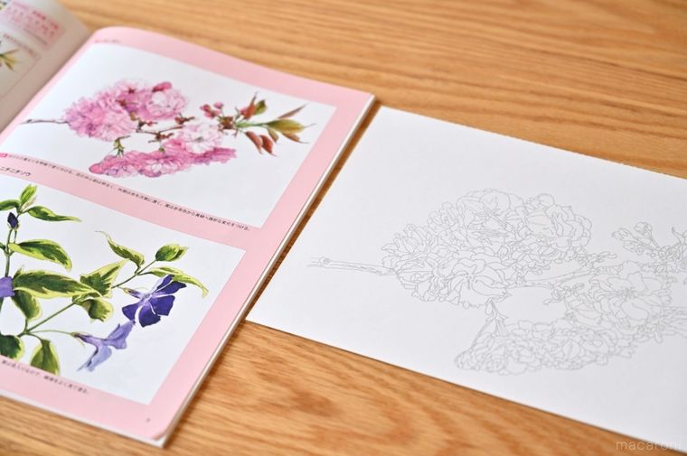 塗り絵用イラストと完成イメージを並べている