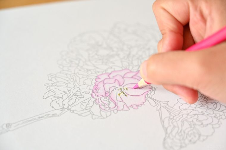 ピンクの色鉛筆で花を塗っている