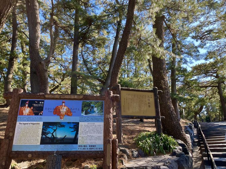 三保松原の入り口