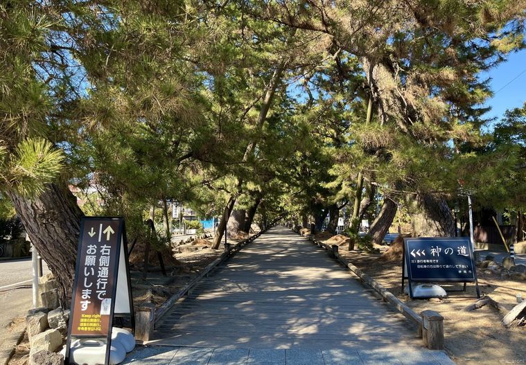 羽衣の松から御穂神社まで続く神の道