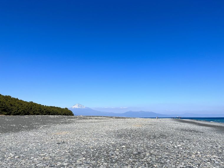 三保松原から望む富士山