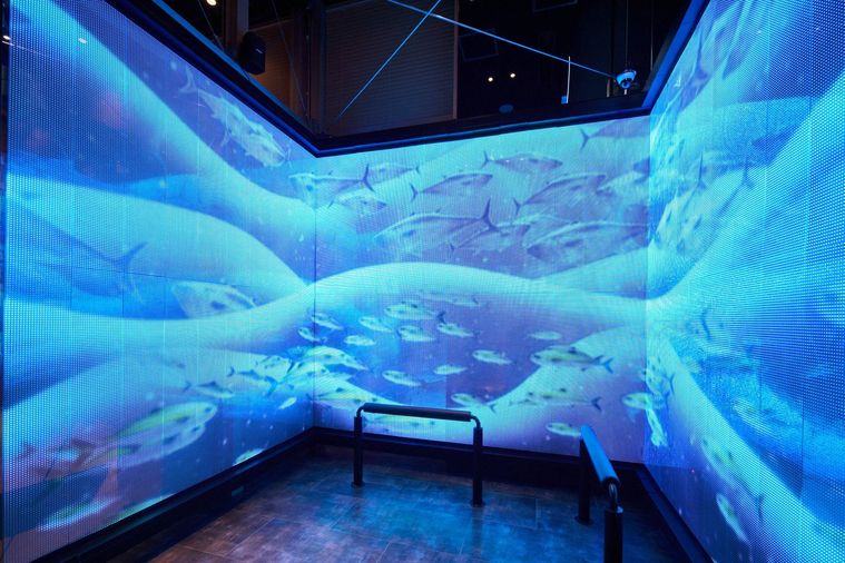 水槽を模した大型ディスプレイ