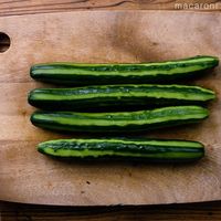 【作り方】昆布茶できゅうりの一本漬け
